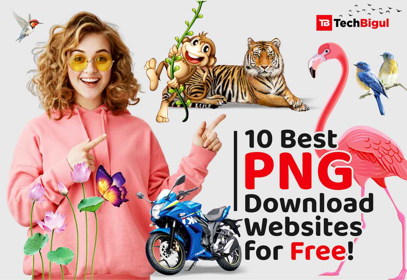 10 Best PNG Download Websites for Free!- poster