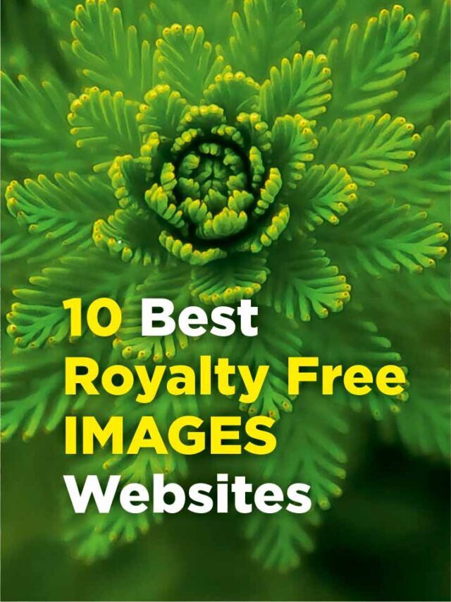 10 Best Royalty free images websites